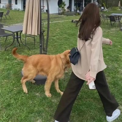 杂交种